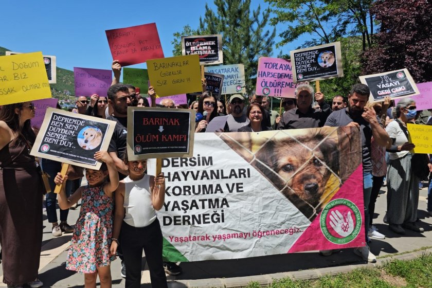 “Çözüm basit, günde 11 kısırlaştırma”