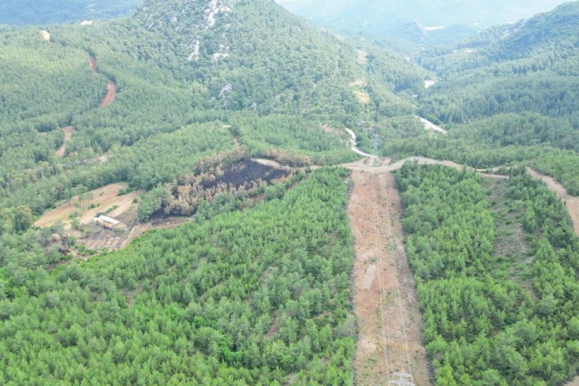 Yangın sürerken doğal gaz hattı için yüzlerce çam ağacı kesildi
