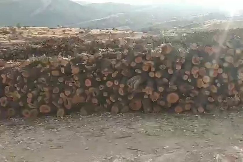 Şırnak’ta 5 yıldır süren ağaç kıyımı: Gabar Dağı çoraklaşıyor