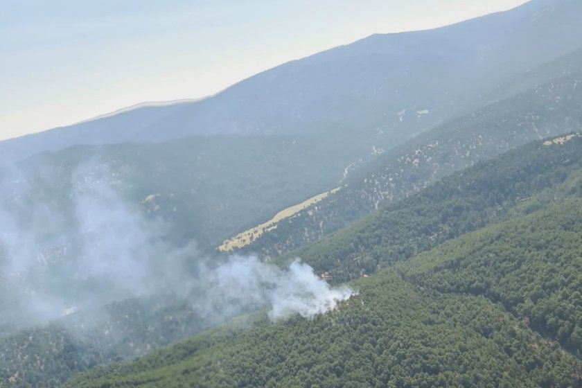 Denizli'nin Çivril ilçesinde orman yangını çıktı