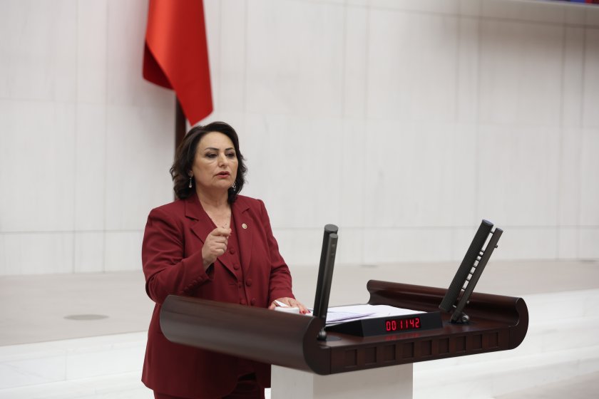 CHP Milletvekili Dr. Müzeyyen Şevkin: “Geçim sıkıntısı can alıyor”