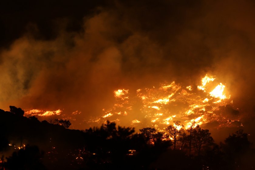İtalya'nın Sardinya Adası'nda 20 farklı noktada orman yangını