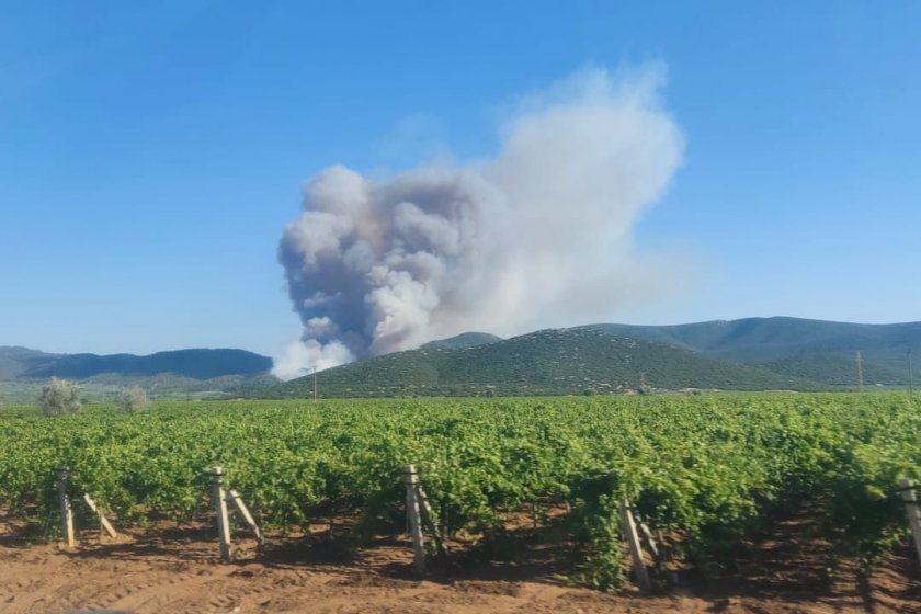 Manisa'nın Saruhanlı ilçesinde orman yangını çıktı