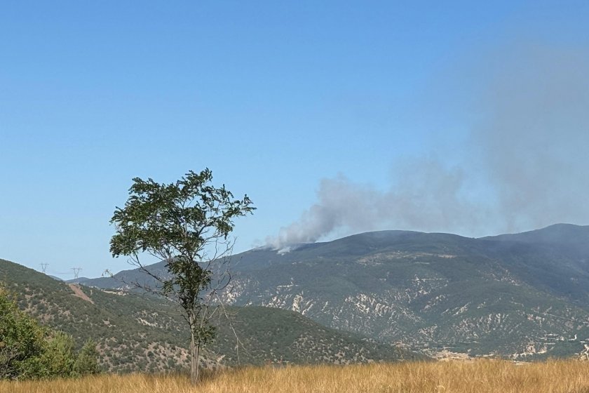 Çankırı'nın Ilgaz ilçesinde ormanlık alanda çıkan yangına müdahale ediliyor