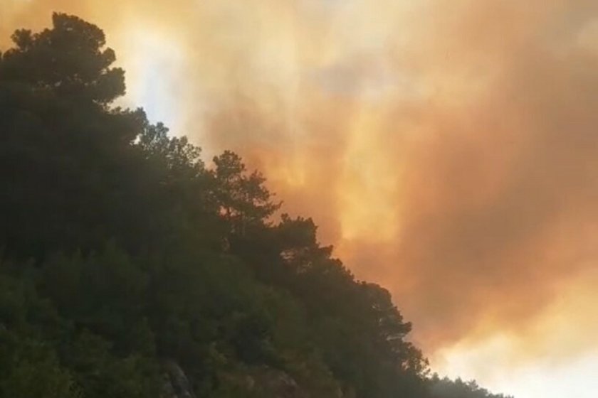 Yalova'da çıkan yangın söndürüldü