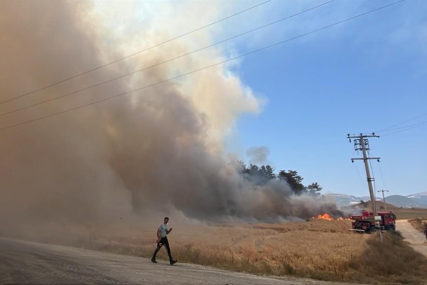 Bolu'da tarım arazisinde çıkan yangın ormana sıçradı