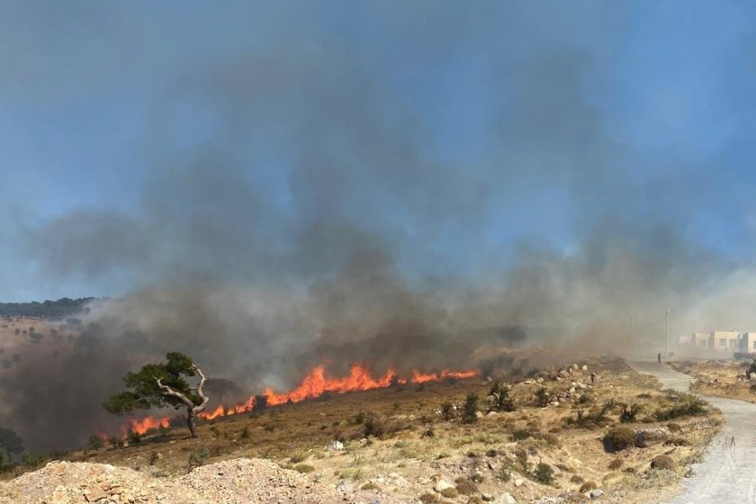Çanakkale Ayvacık’ta  orman yangını: Havadan ve karadan müdahale sürüyor