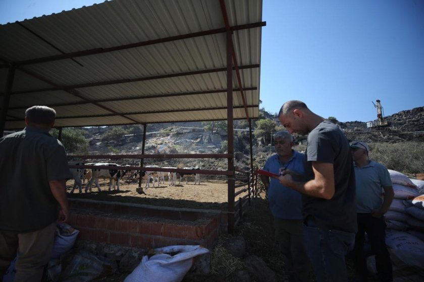 Çanakkale Ayvacık’taki orman yangını kontrol altına alındı: Köylüler evlerine döndü