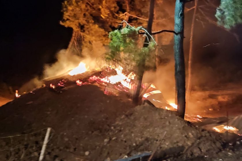 Bilecik'te çiftlikte başlayan yangın ormana sıçradı: 95 küçükbaş hayvan öldü