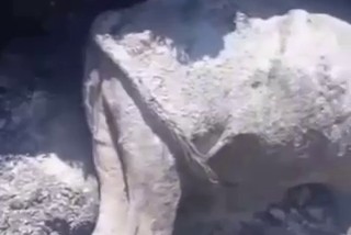 CHP Milletvekili Alp: Besicilerin şap kaynaklı zararı tanzim edilsin
