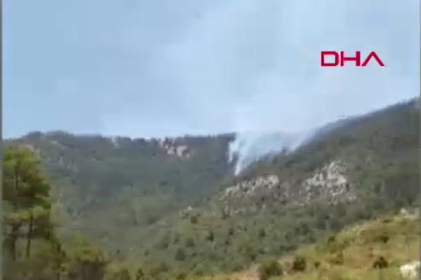 Antalya Serik'te yangın çıktı
