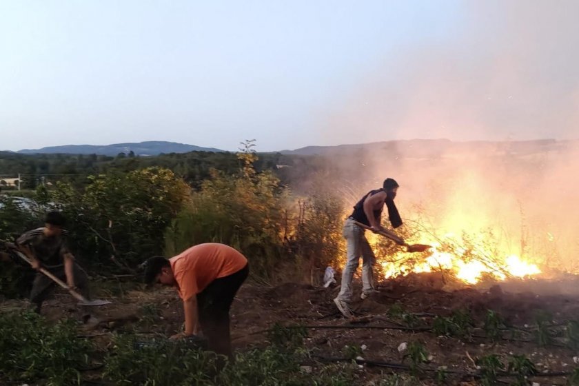 Balıkesir'deki orman yangınıyla ilgili 2 kişi tutuklandı