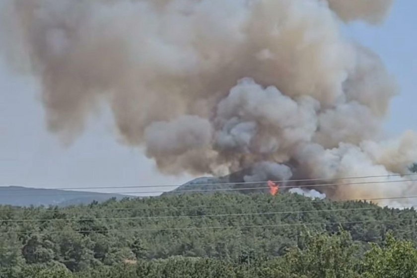 Çankırı'da çıkan yangında ahır, samanlık ve hafif ticari araç yandı