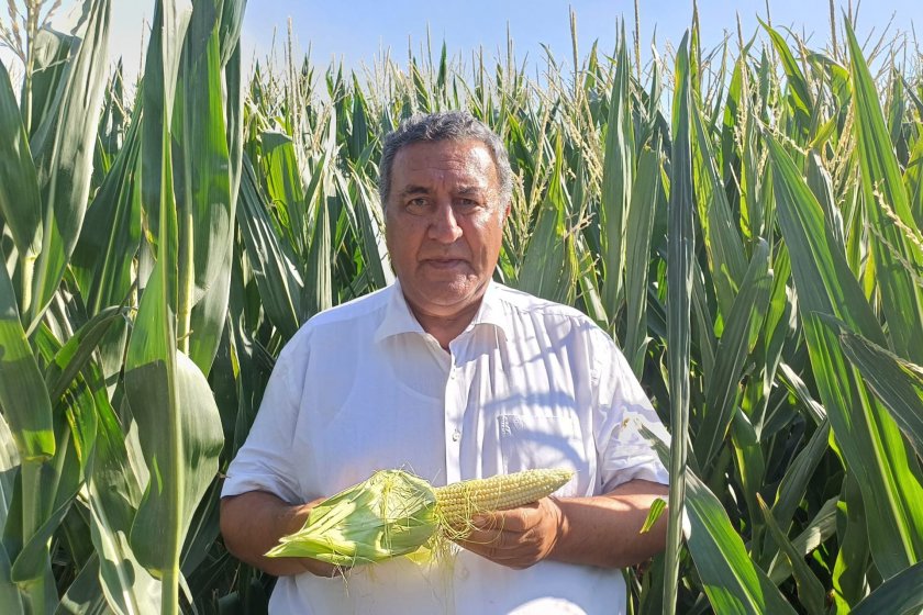 CHP’li Gürer’den TMO’nun mısır alım fiyatına tepki: “Üretici zarar edecek, ithalat artacak”