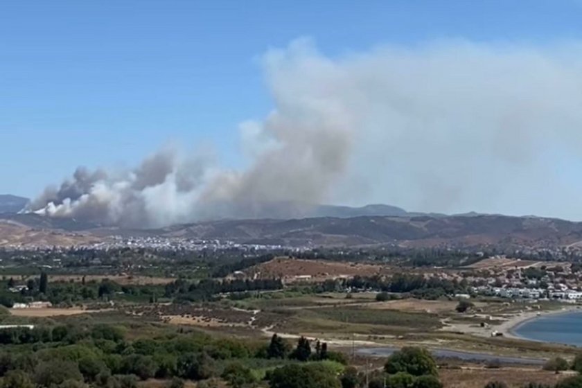 İzmir'in Seferihisar ilçesinde orman yangını