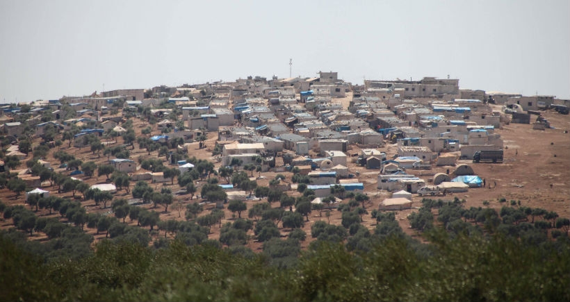 Zeytin ağacı diyarı: Efrîn