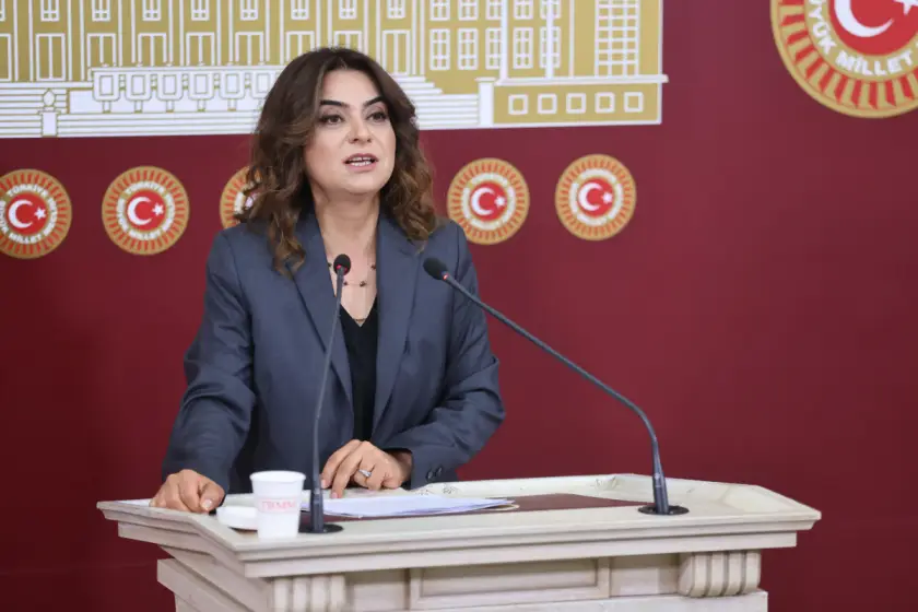 Koçyiğit: Hakikatle yüzleşmek demokratik barışı güçlendirir