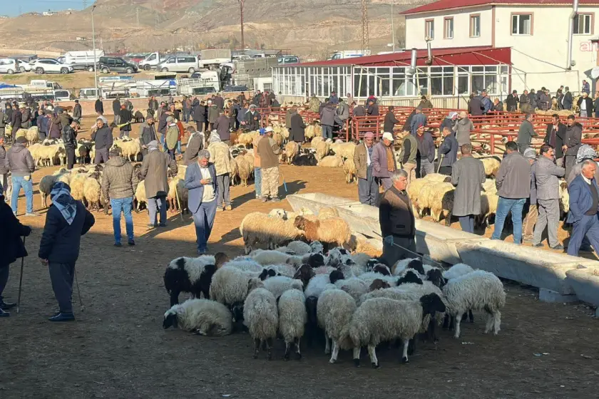 Van’da kurban pazarı durgun geçiyor | Besiciler: Kazanç masrafa gidiyor, zahmete değmiyor