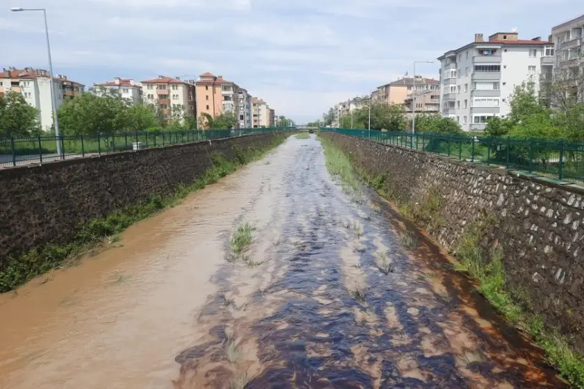 Kastamonu'da dereye kimyasal atık karıştı