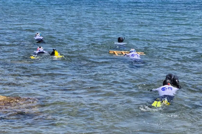 Fotoğraf: Karaburun Yerel Fok Komitesi