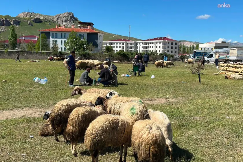 Yüksek maliyet besiciyi, düşük alım gücü yurttaşları vurdu: Ne alan memnun ne de satan