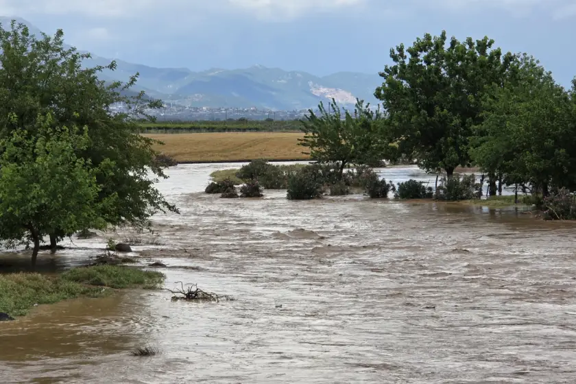 Hatay ve Osmaniye'de sağanak: Dereler taştı, tarım arazileri zarar gördü