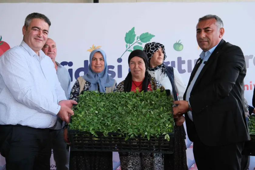 Adana Büyükşehir’den Aladağ üreticisine 400 bin domates fidesi