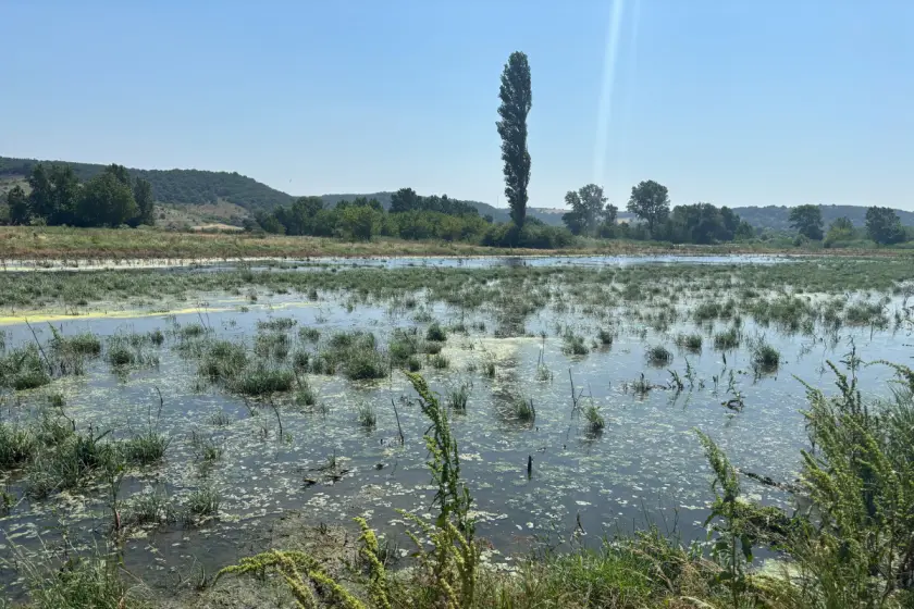 Fotoğraf: Uğur Ökdemir/Evrensel