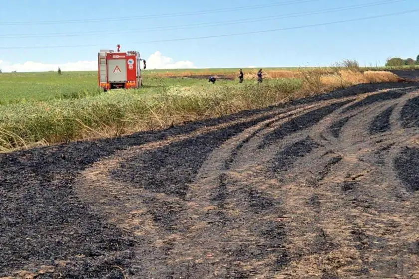 Tekirdağ'da 100 dekar buğday tarlası yandı
