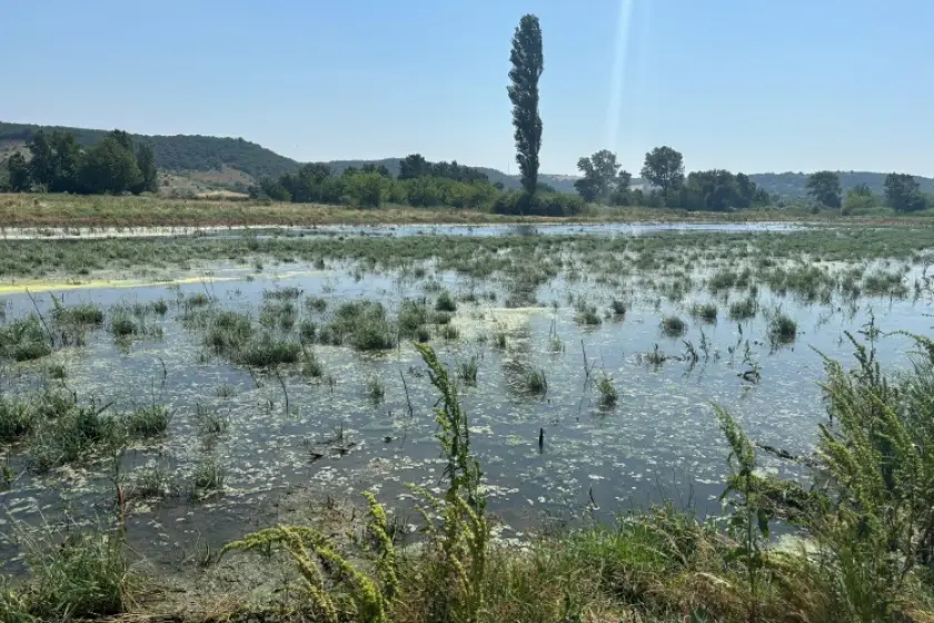 Fotoğraf: Evrensel
