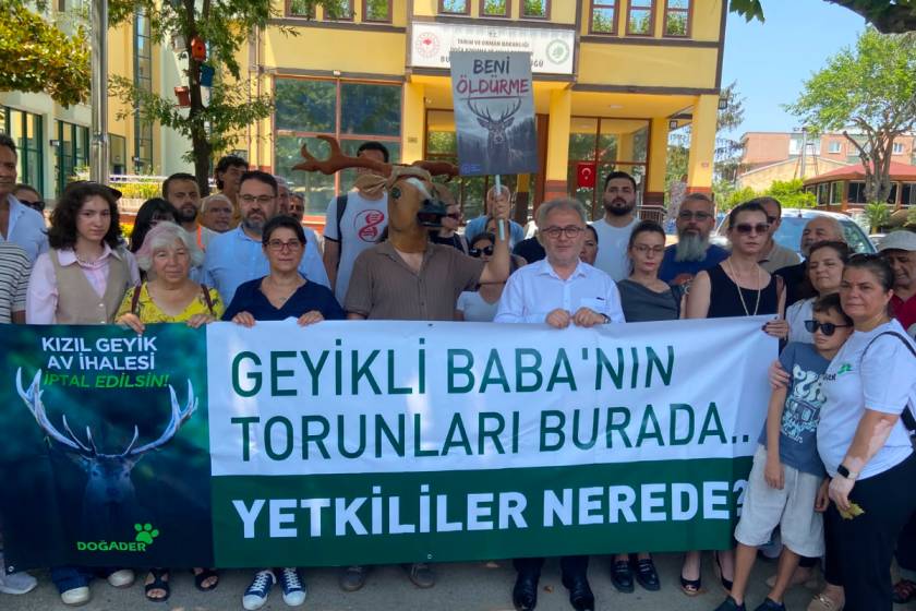 Kızıl geyik avlama ihalesine tepki: Sadece kızıl geyiği değil, Bursa'nın yaşam hakkını savunuyoruz