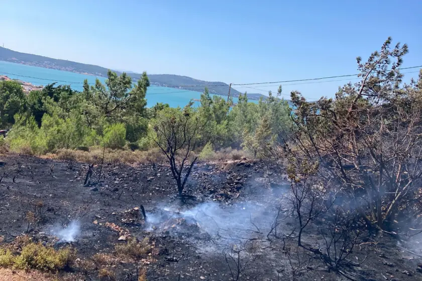 Cunda Adası'nda orman yangını