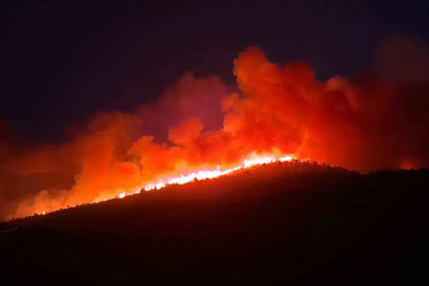 Sırbistan'da 45 ayrı noktada orman yangını