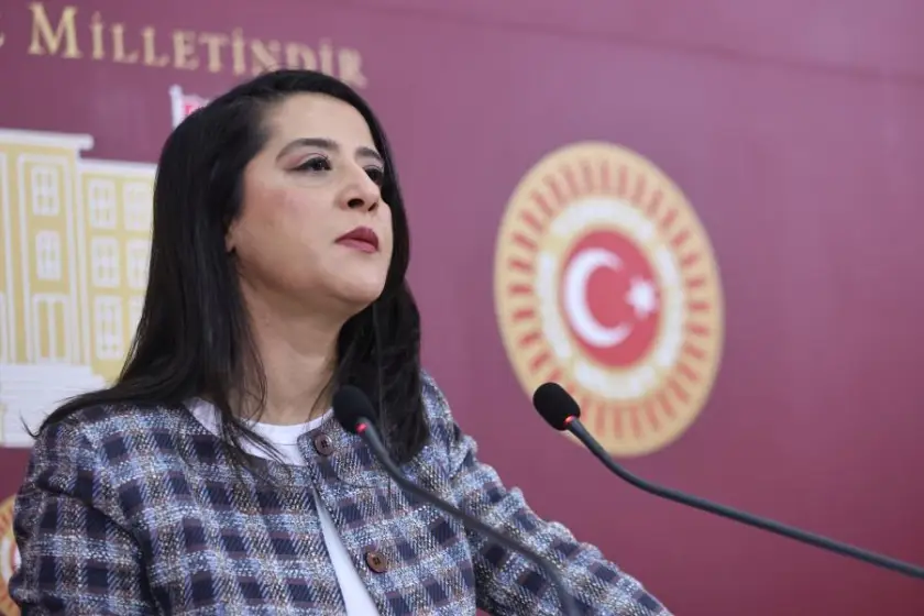 EMEP'li Sevda Karaca, sendika yöneticisine yönelik müdahaleye ilişkin önerge verdi: ‘Üstenci ve baskıcı bir tavır kabul edilemez’