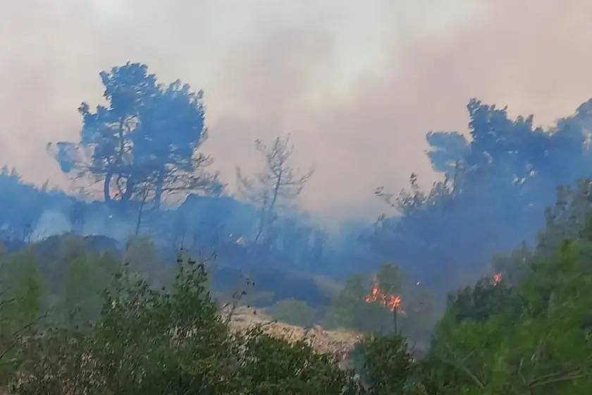 Çanakkale Ezine'de orman yangını: Yangına müdahale ediliyor