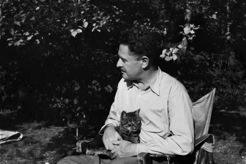 “Romantika” sergisinde Nâzım Hikmet için dört buluşma