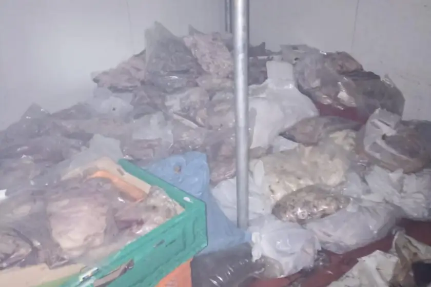 Bodrum'da 400 kilo bozuk ete el konuldu
