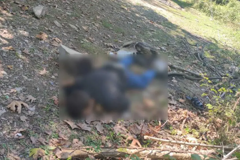 Kastamonu'da dere kenarında erkek cesedi bulundu; 1 kişi gözaltına alındı