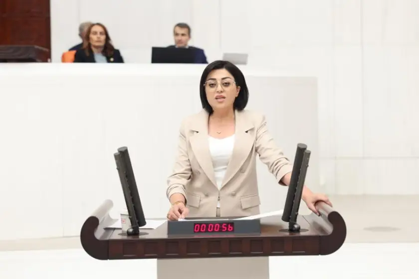 DEM Parti'li Öznur Bartın, Hakkari'de 9 okulun yıkılma kararı ile ilgili sorunları Meclis gündemine getirdi