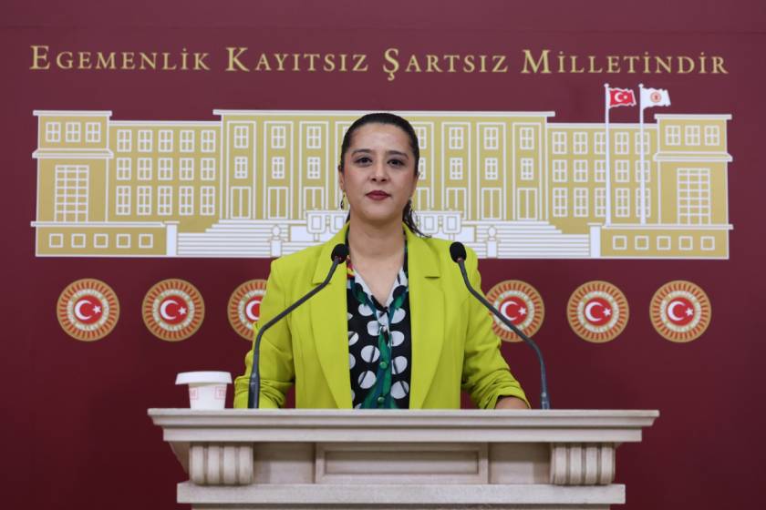 EMEP’li Sevda Karaca’dan Diyarbakır’daki GES projelerine tepki: 540 dönüm mera 49 yıllığına şirkete tahsis edildi