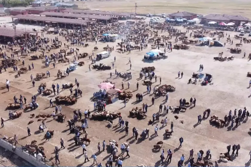 Sebep şap hastalığı: Ağrı Hayvan Borsası 30 gün süreyle kapatıldı
