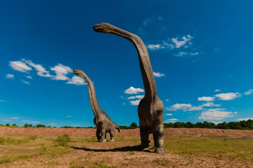 Kuzey Amerika dışındaki ilk Diplodocus fosili İspanya'da bulundu