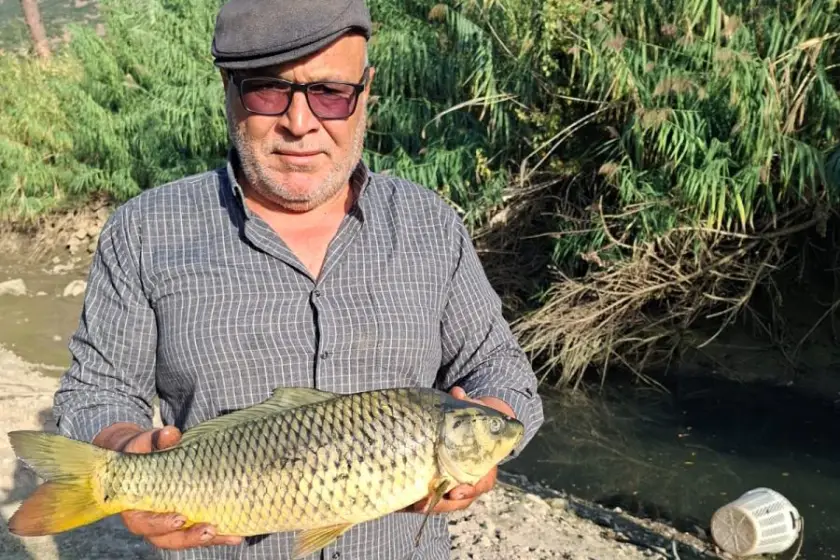 Fotoğraf: Evrensel