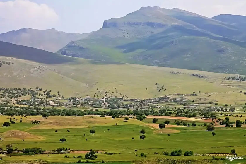 Fotoğraf: Karacadağ Platformu