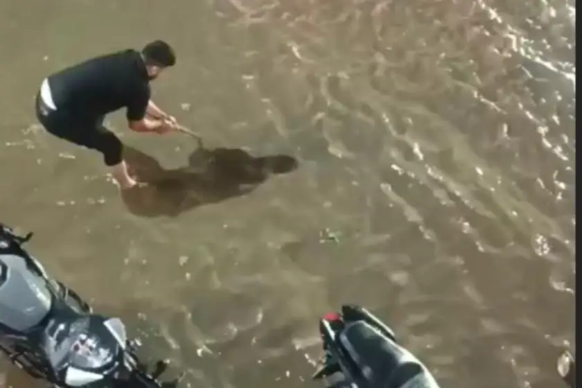 Batman'da sağanak hayatı olumsuz etkiledi: Caddeler göle döndü, ağaçlar devrildi