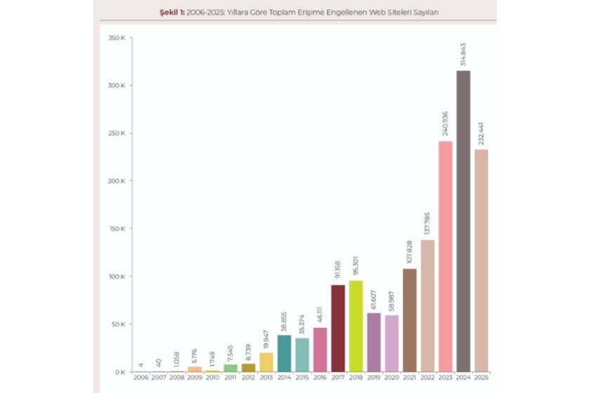 Tablo
kaynağı: Engelli Web 2025 Raporu