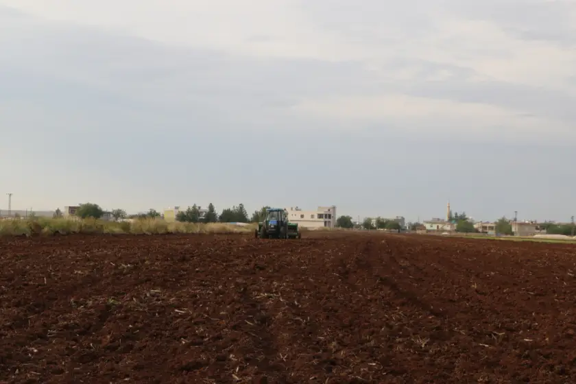 Diyarbakır'da kışlık ürünlerin ekimi başladı: Artan maliyetler çiftçiyi zorluyor
