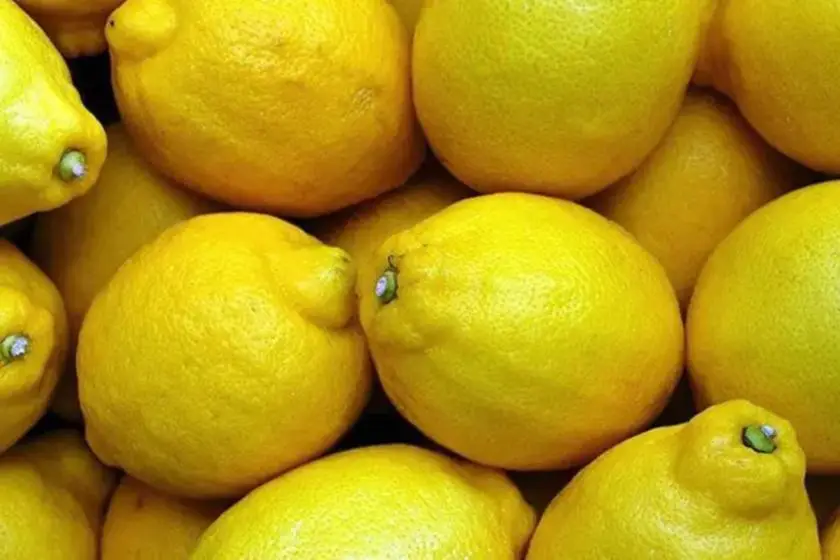 Üretici ile market arasındaki fiyat farkı en çok limonda görüldü: Üreticide 3,90 liraya, markette 42,87 liraya satıldı