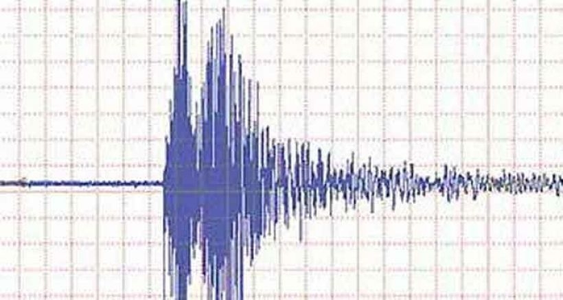 Ege'de 4,6 büyüklüğünde deprem!