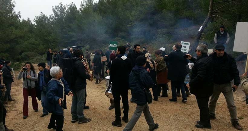 Urla'da halk tepkisi, ağaç katliamını şimdilik durdurdu